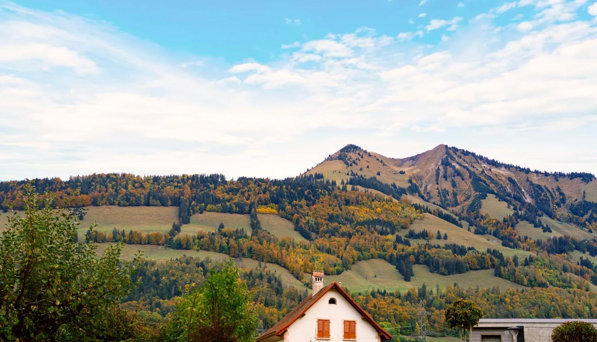Gruyere Alpes Appartement 3 Chambres Bbq Parking Neirivue Zewnętrze zdjęcie